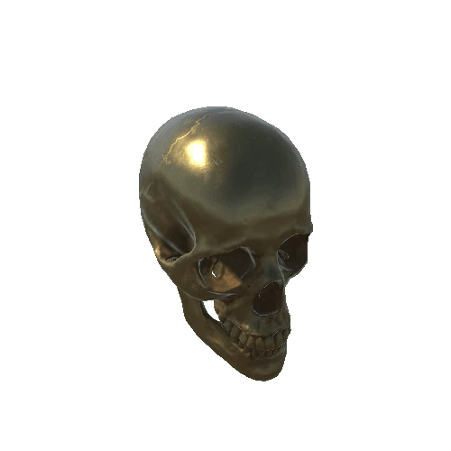 base_mesh_skull 6